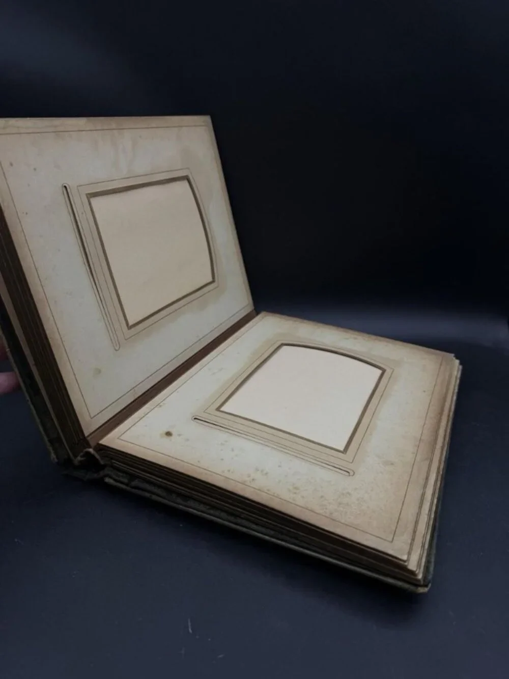 Victorian Green Celluloid Cherubs Dragonfly Photo Album Antique No Latch READ